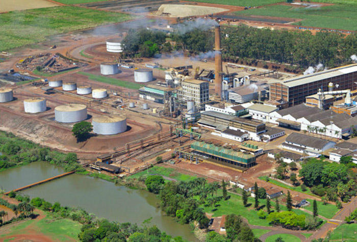 Açúcar, mercado energético e também alimentício. Oportunidade?